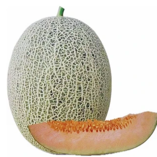 High Brix Melon Hybrid Frø ME-018