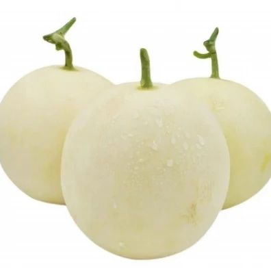 Mid-early Maturity Melon Seeds ME-019（2）