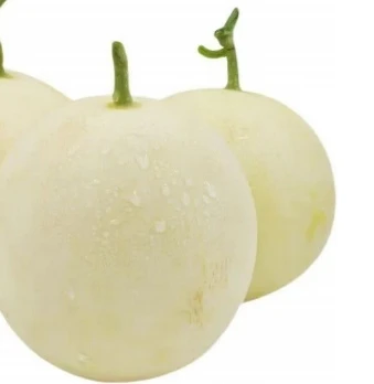 Høj rund form hvid hud melon frø ME-751